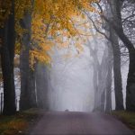 دانلود ریمیکس جدید محمد استقامت کردی ته حز دکم